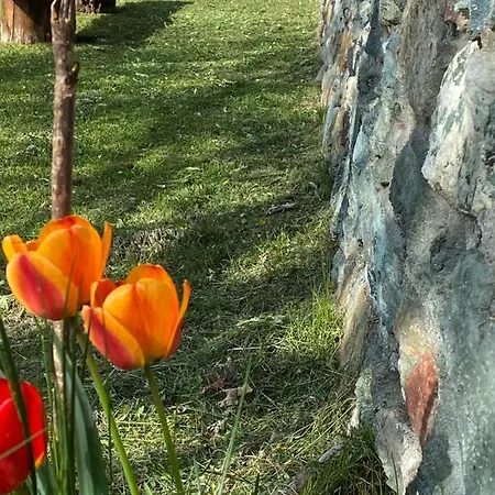 A Pankeo Valtournenche