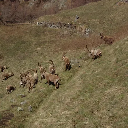 住宿加早餐酒店 A Pankeo