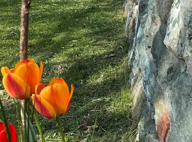 A Pankeo Valtournenche