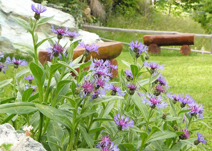 A Pankeo Bed & Breakfast